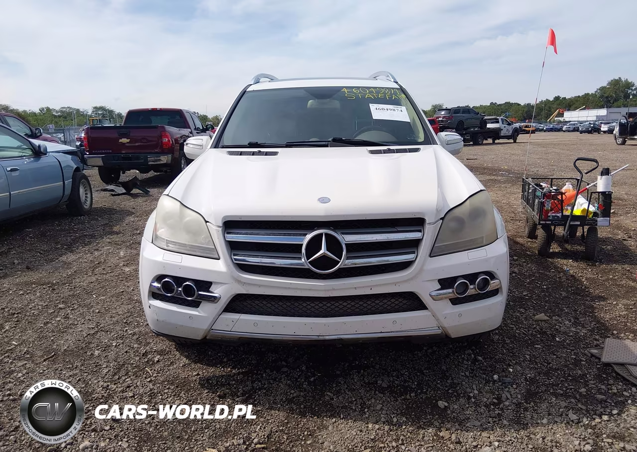 2010 Mercedes-Benz Gl 450 4Matic VIN:4JGBF7BE2AA565141 - 12
