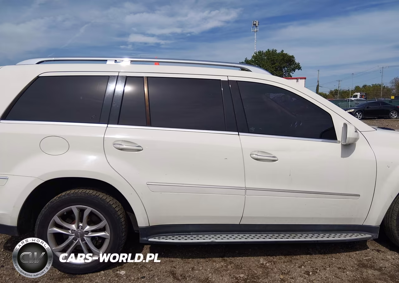 2010 Mercedes-Benz Gl 450 4Matic VIN:4JGBF7BE2AA565141 - 13