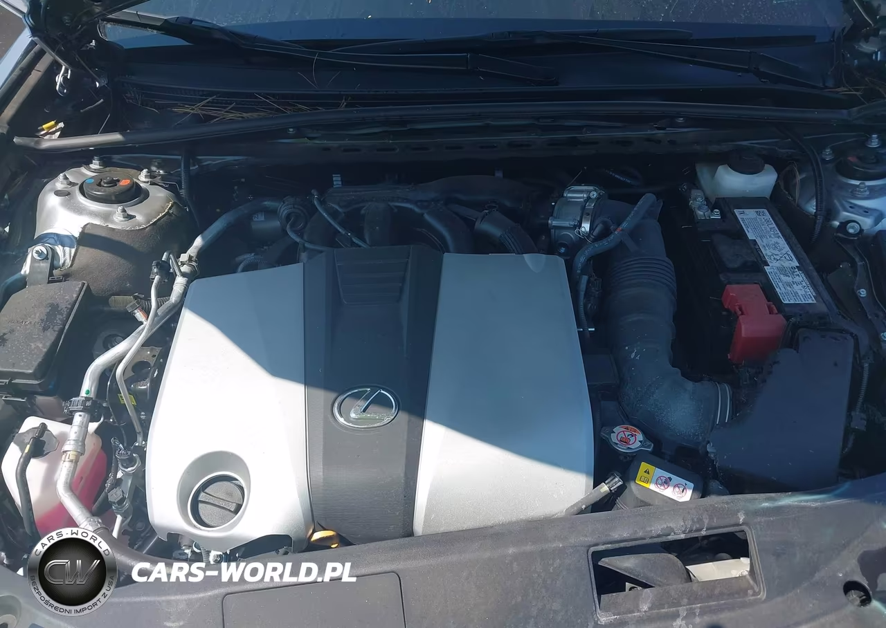 2025 Lexus Es 350 VIN:58ADZ1B17SU207715 - 10