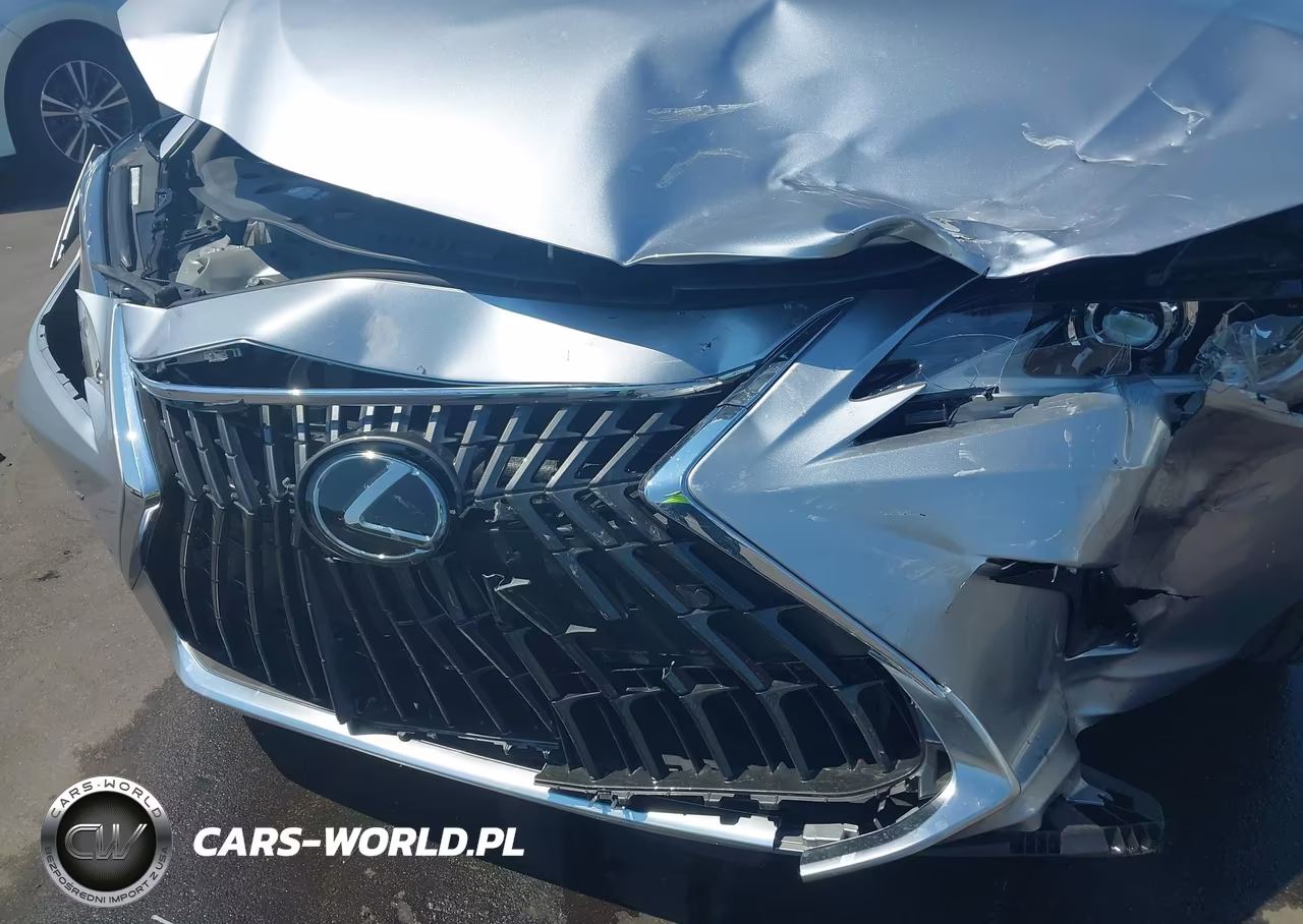 2025 Lexus Es 350 VIN:58ADZ1B17SU207715 - 18
