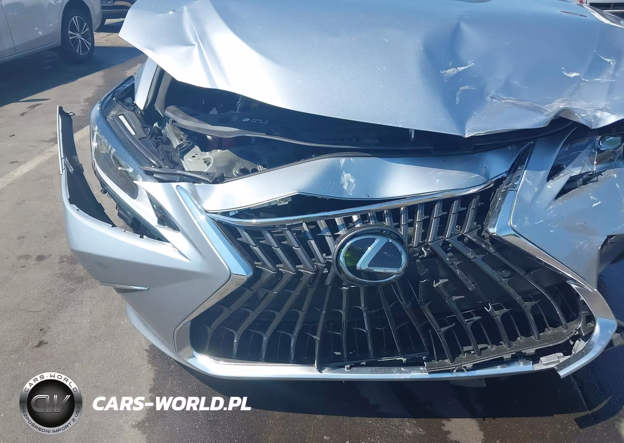 2025 Lexus Es 350 VIN:58ADZ1B17SU207715 - 19