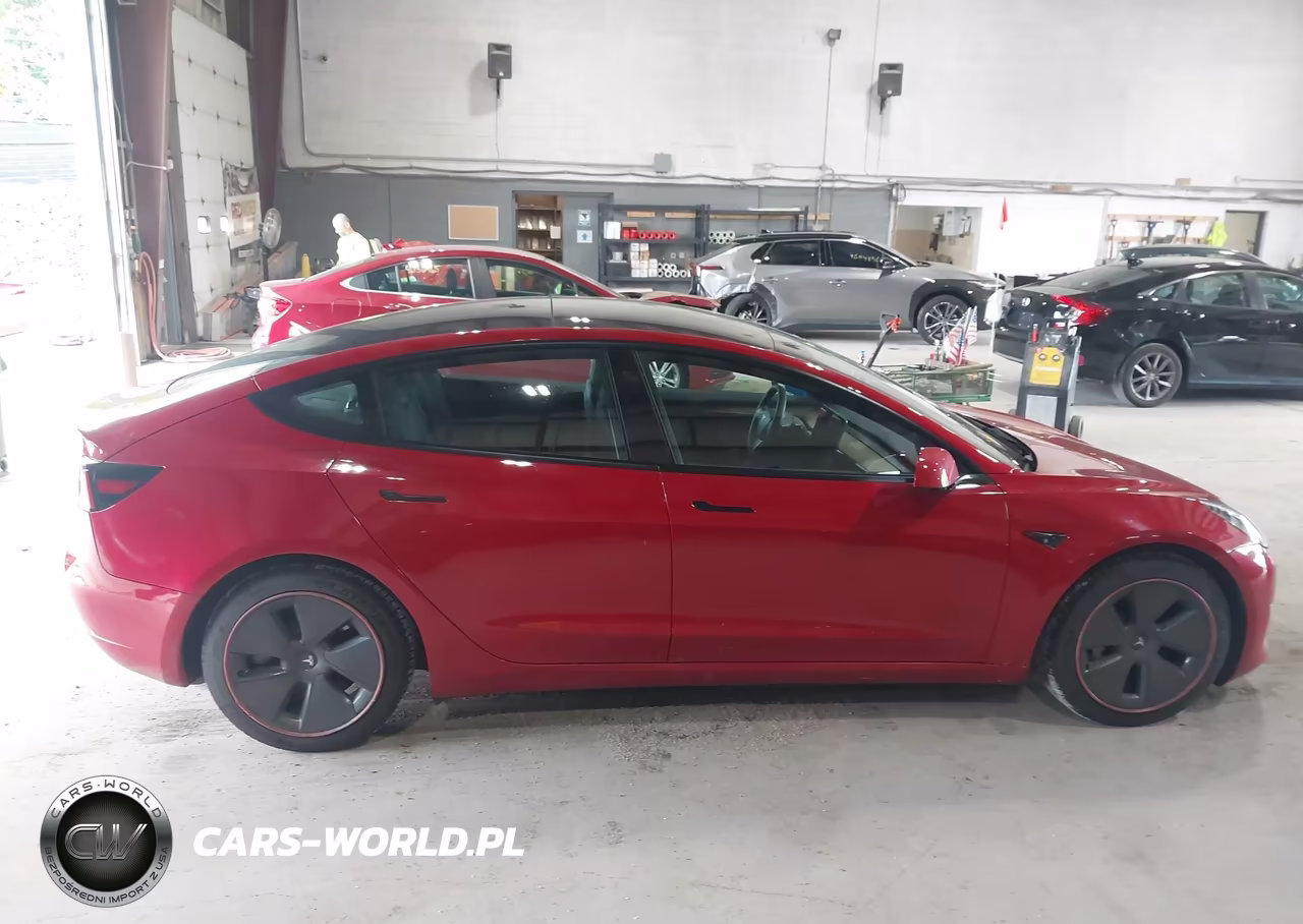 2022 Tesla Model 3 Long Range Dual Motor All-Wheel Drive VIN:5YJ3E1EB6NF182925 - 12