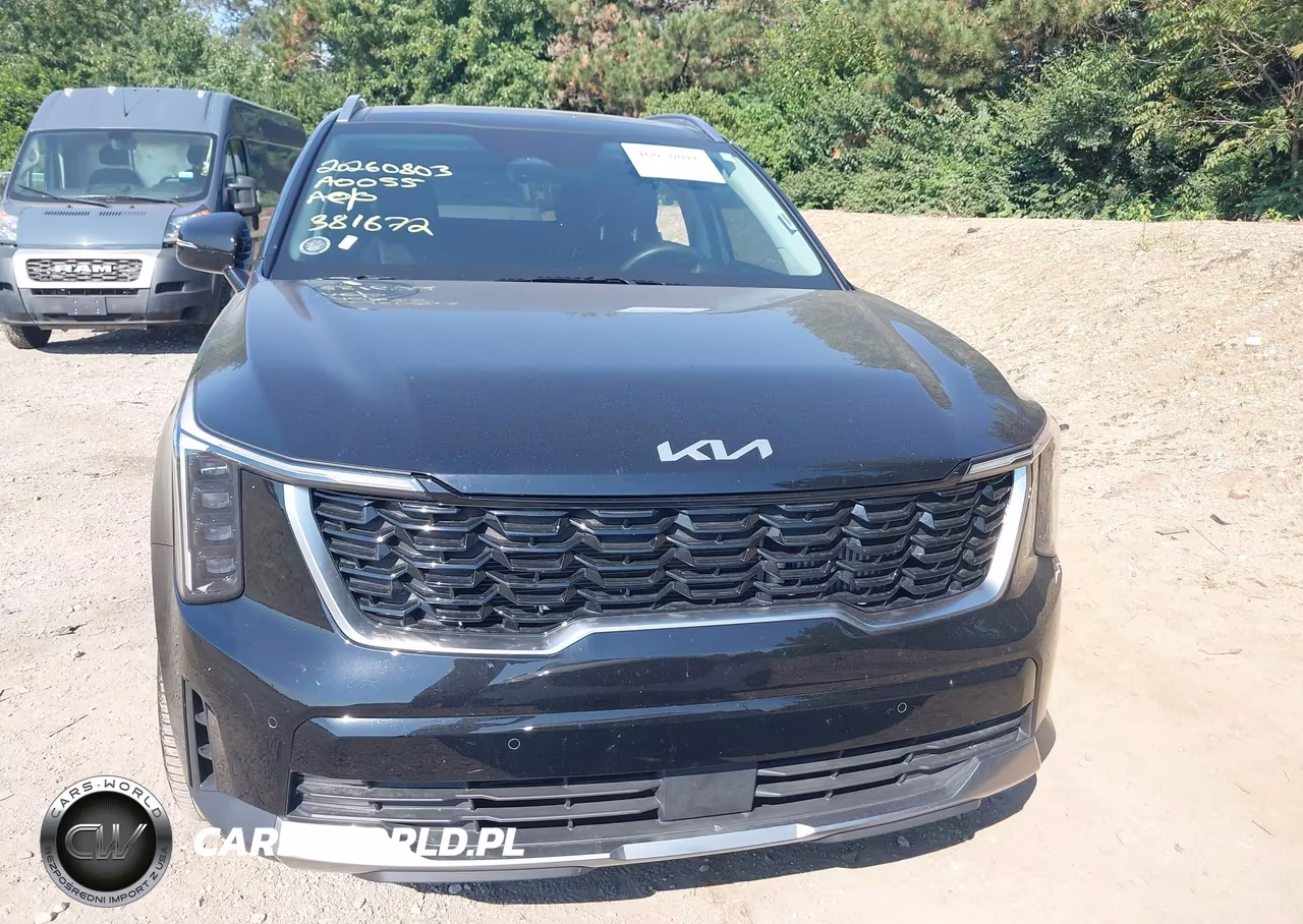 2025 Kia Sorento Ex VIN:5XYRHDJF1SG381672 - 13