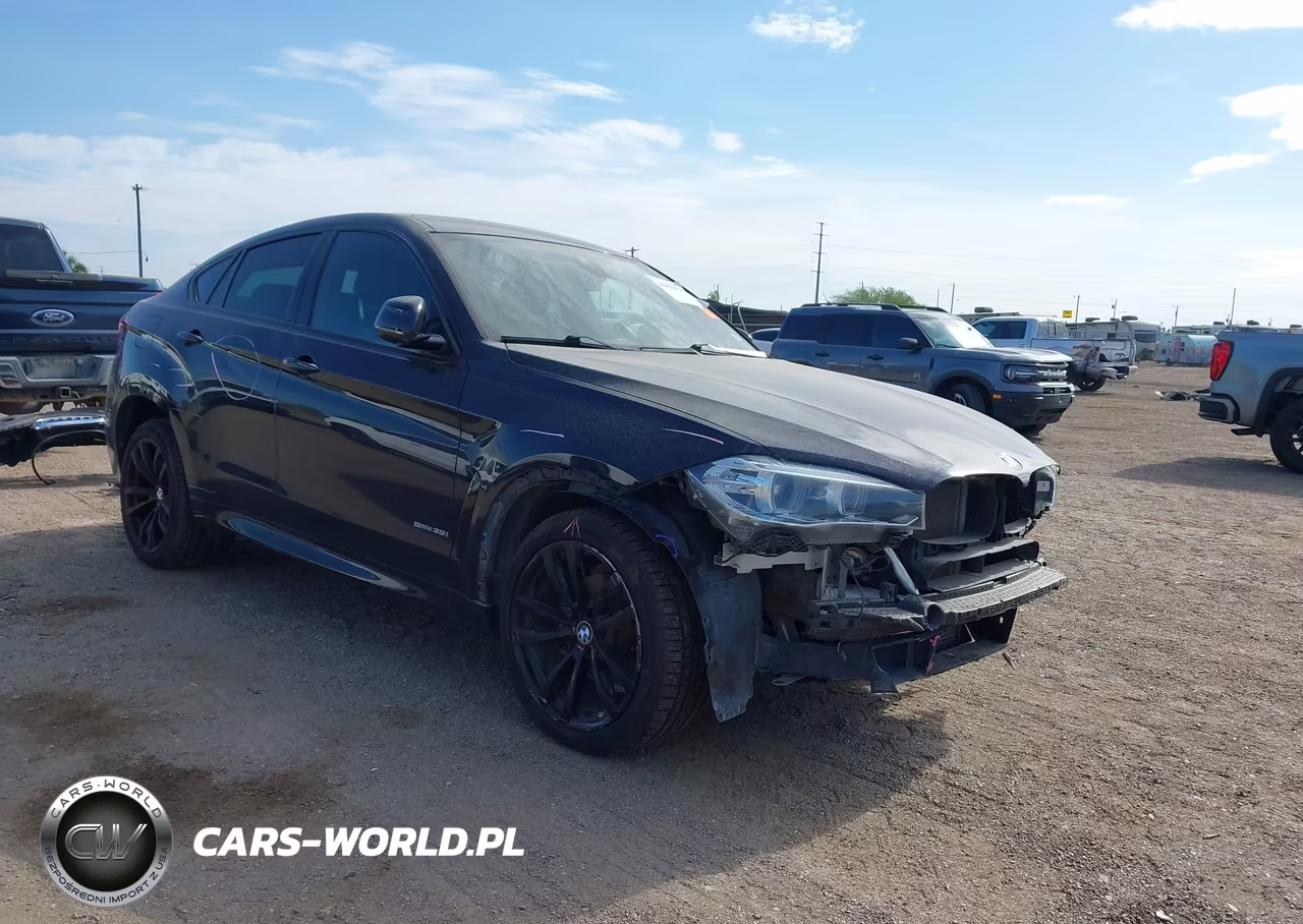 2018 BMW X6 Sdrive35I VIN:5UXKU0C53J0G80967 - 1