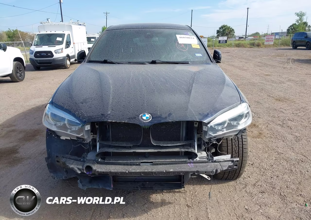 2018 BMW X6 Sdrive35I VIN:5UXKU0C53J0G80967 - 13