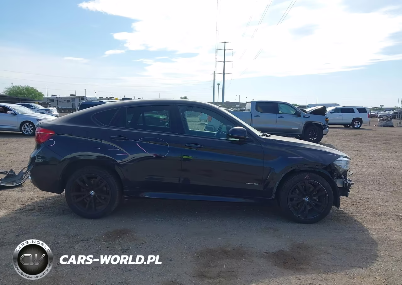 2018 BMW X6 Sdrive35I VIN:5UXKU0C53J0G80967 - 14