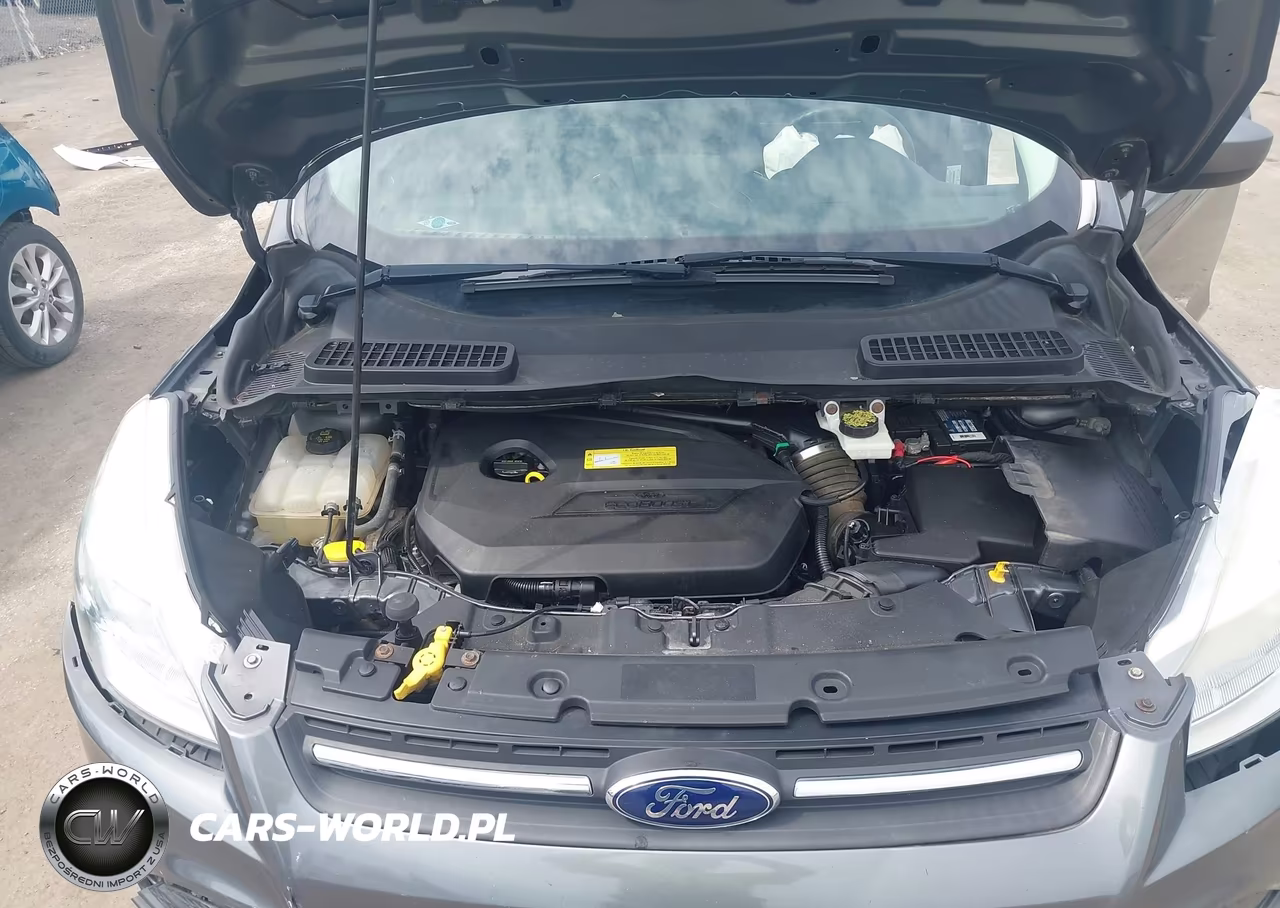 2014 Ford Escape Se VIN:1FMCU0GX1EUC42151 - 10