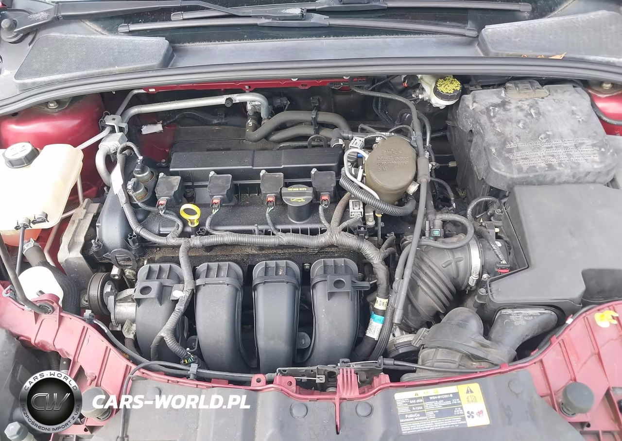2013 Ford Focus Se VIN:1FADP3F22DL181491 - 10