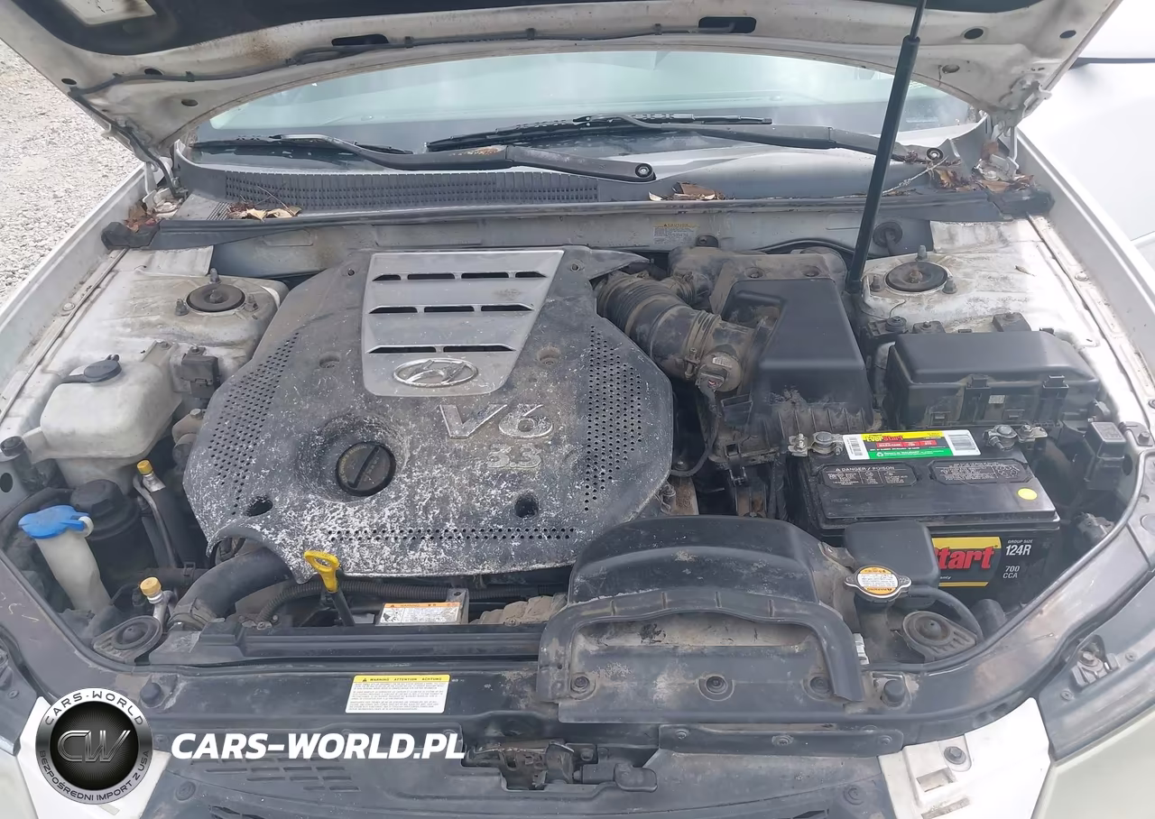 2006 Hyundai Sonata Gls V6-Lx V6 VIN:5NPEU46F46H067208 - 10