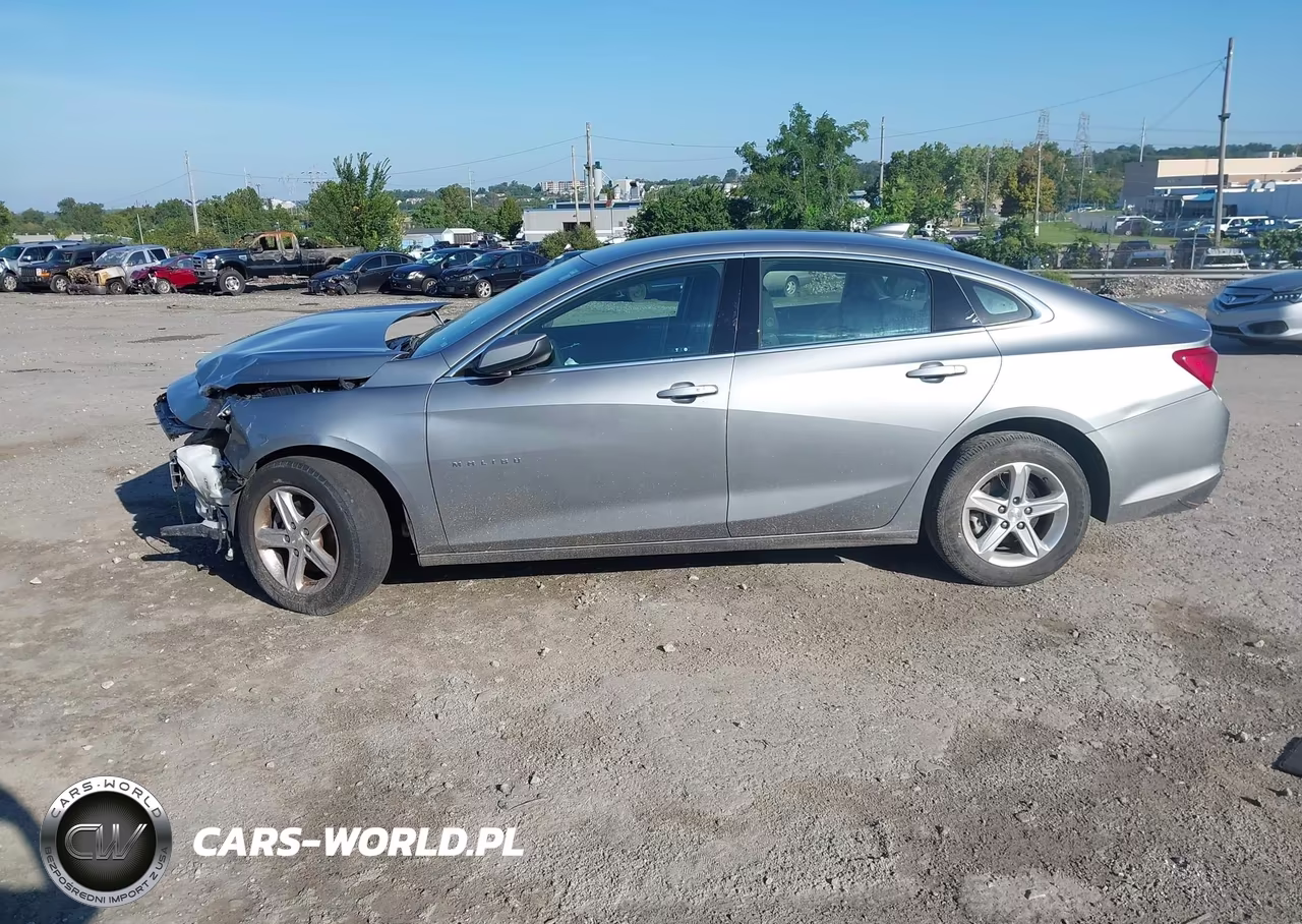 2024 Chevrolet Malibu Fwd 1Lt VIN:1G1ZD5STXRF142942 - 14