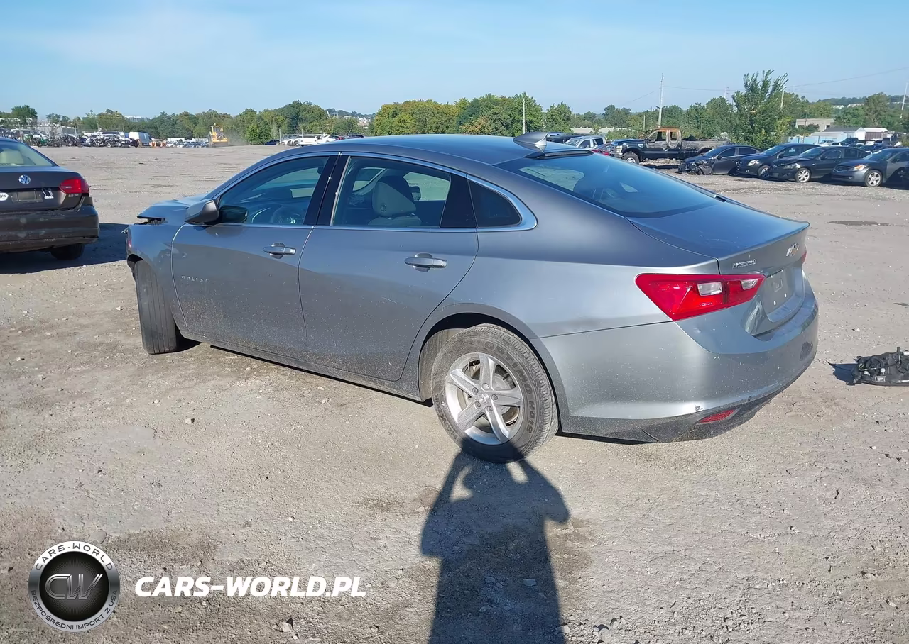 2024 Chevrolet Malibu Fwd 1Lt VIN:1G1ZD5STXRF142942 - 3