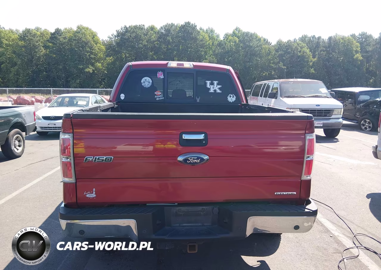 2013 Ford F-150 Xlt VIN:1FTFW1EFXDFB64046 - 16