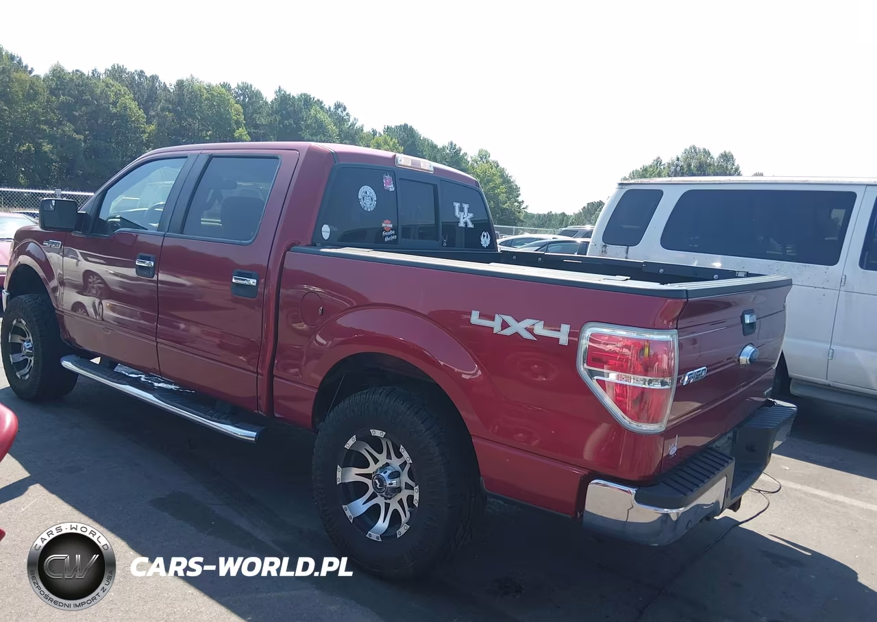 2013 Ford F-150 Xlt VIN:1FTFW1EFXDFB64046 - 3