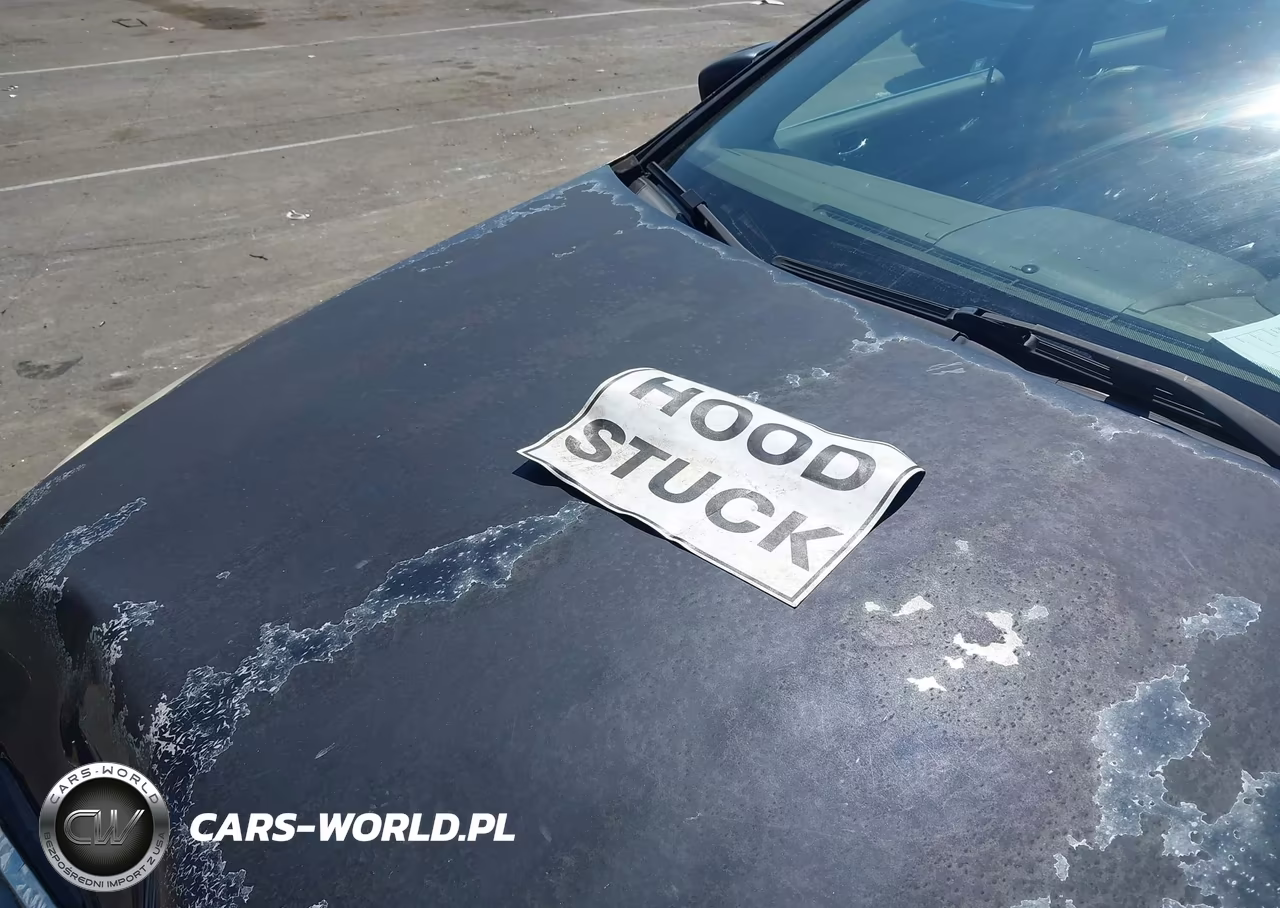2006 Honda Accord 3.0 Ex VIN:1HGCM665X6A001913 - 10