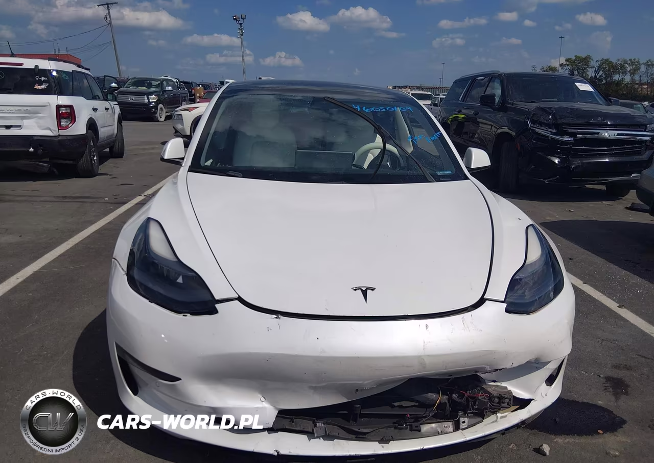 2021 Tesla Model 3 Long Range Dual Motor All-Wheel Drive VIN:5YJ3E1EB9MF013299 - 11