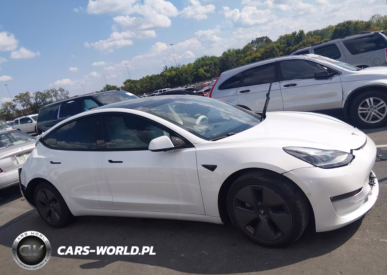 2021 Tesla Model 3 Long Range Dual Motor All-Wheel Drive VIN:5YJ3E1EB9MF013299 - 12