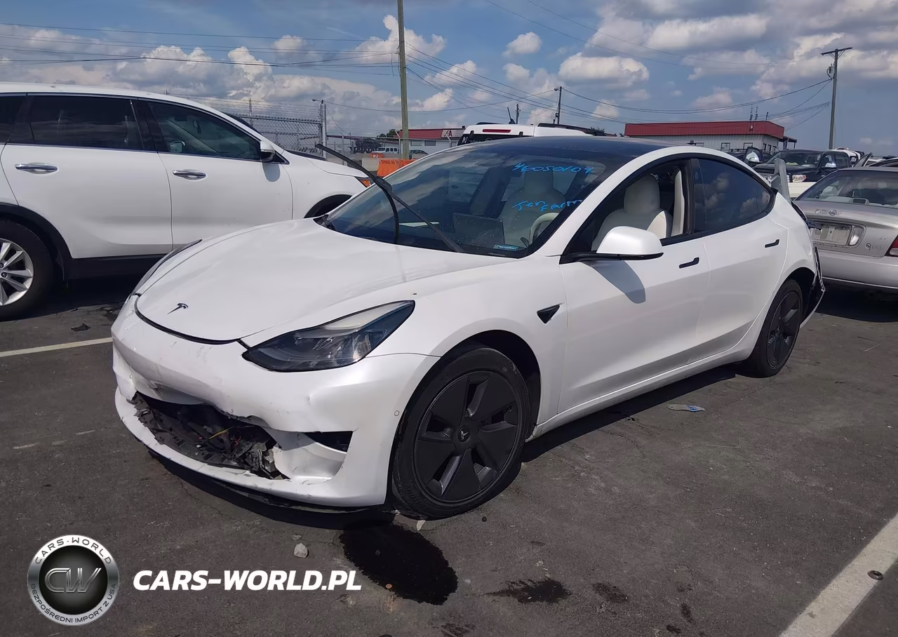 2021 Tesla Model 3 Long Range Dual Motor All-Wheel Drive VIN:5YJ3E1EB9MF013299 - 2