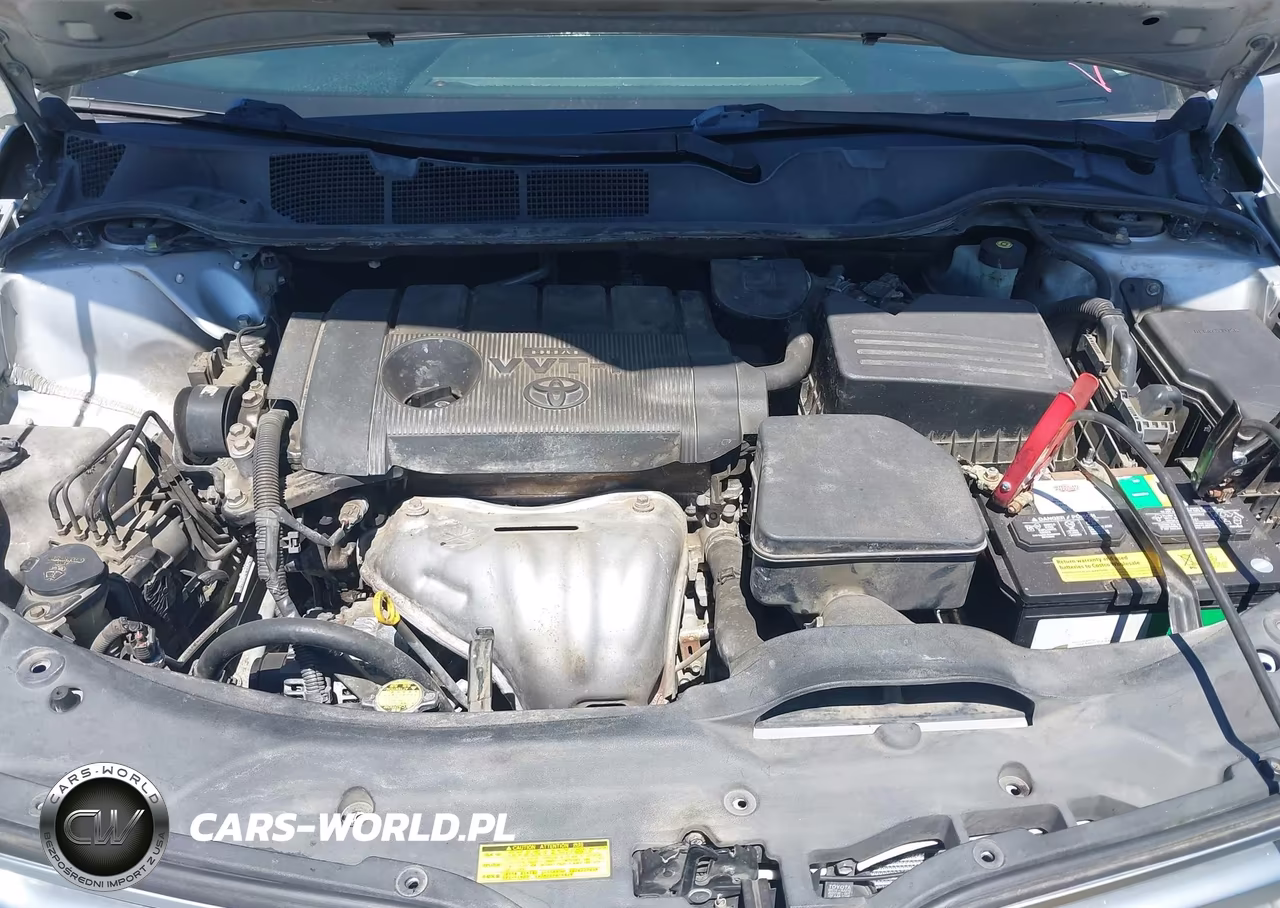 2010 Toyota Venza VIN:4T3ZA3BB2AU027475 - 10