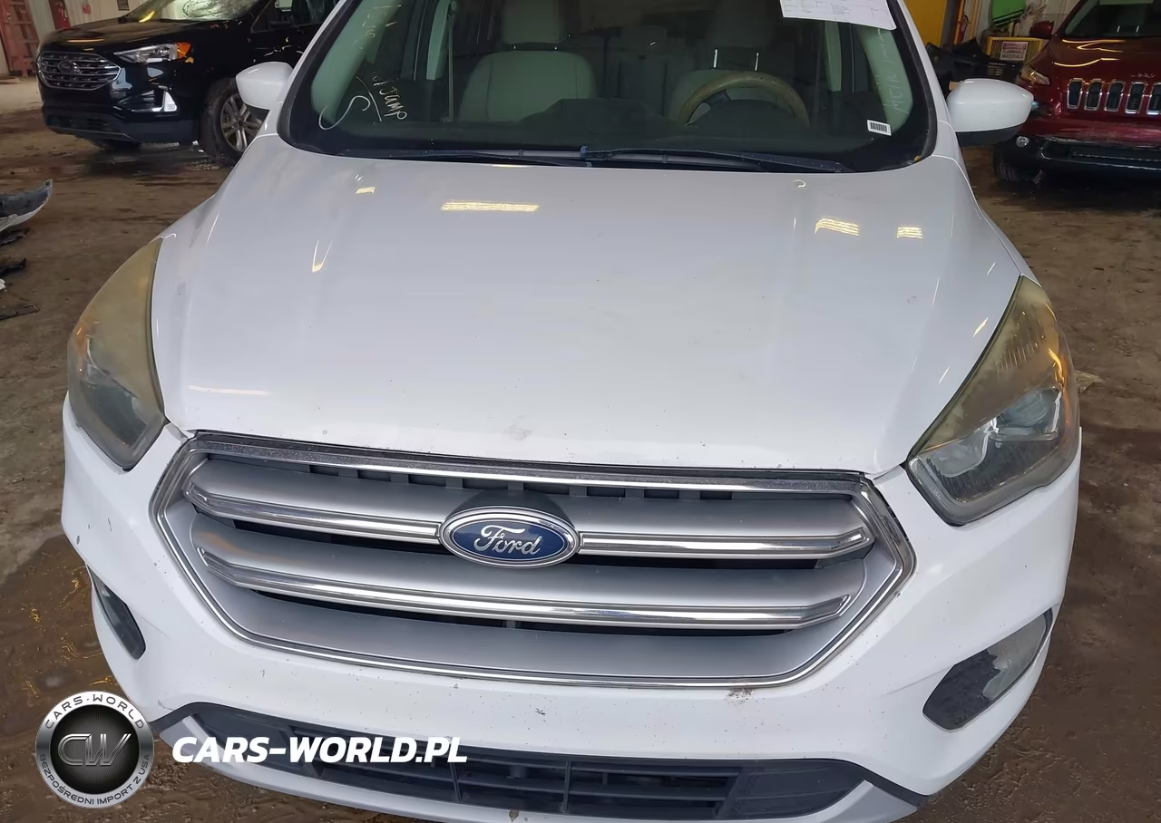 2017 Ford Escape Se VIN:1FMCU9GDXHUB61759 - 10