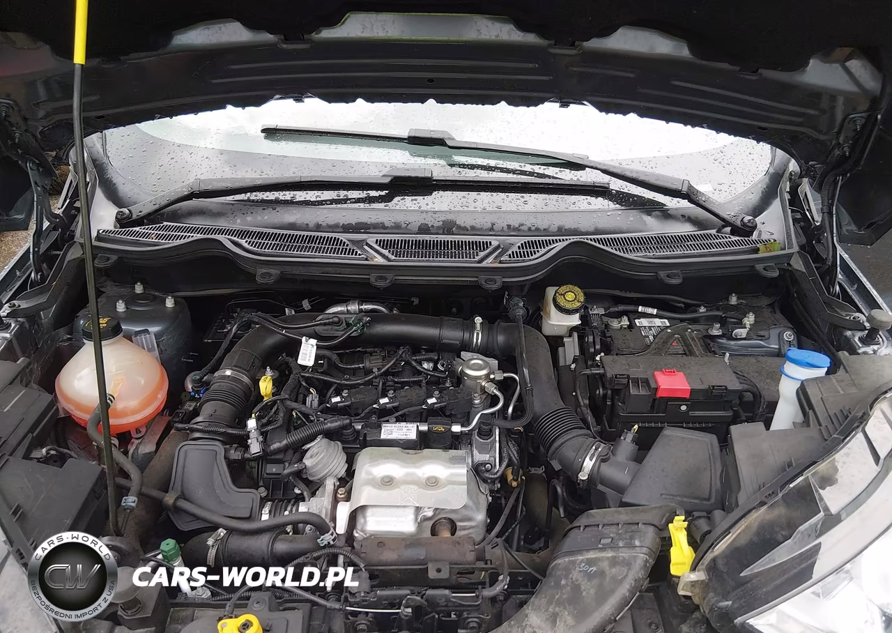 2021 Ford Ecosport Se VIN:MAJ3S2GE1MC438511 - 10
