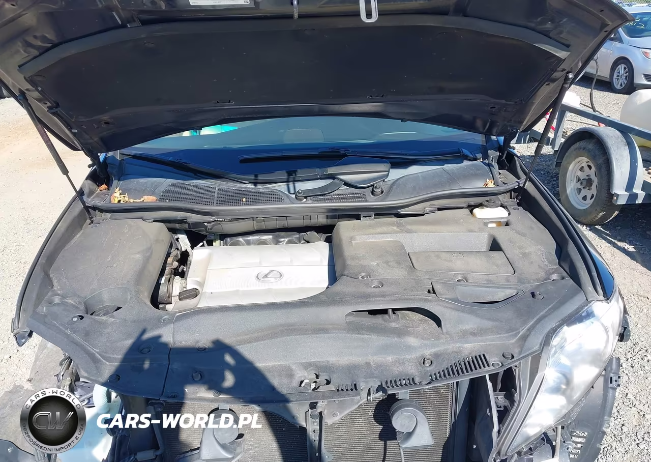 2010 Lexus Rx 350 VIN:2T2BK1BA6AC032016 - 10
