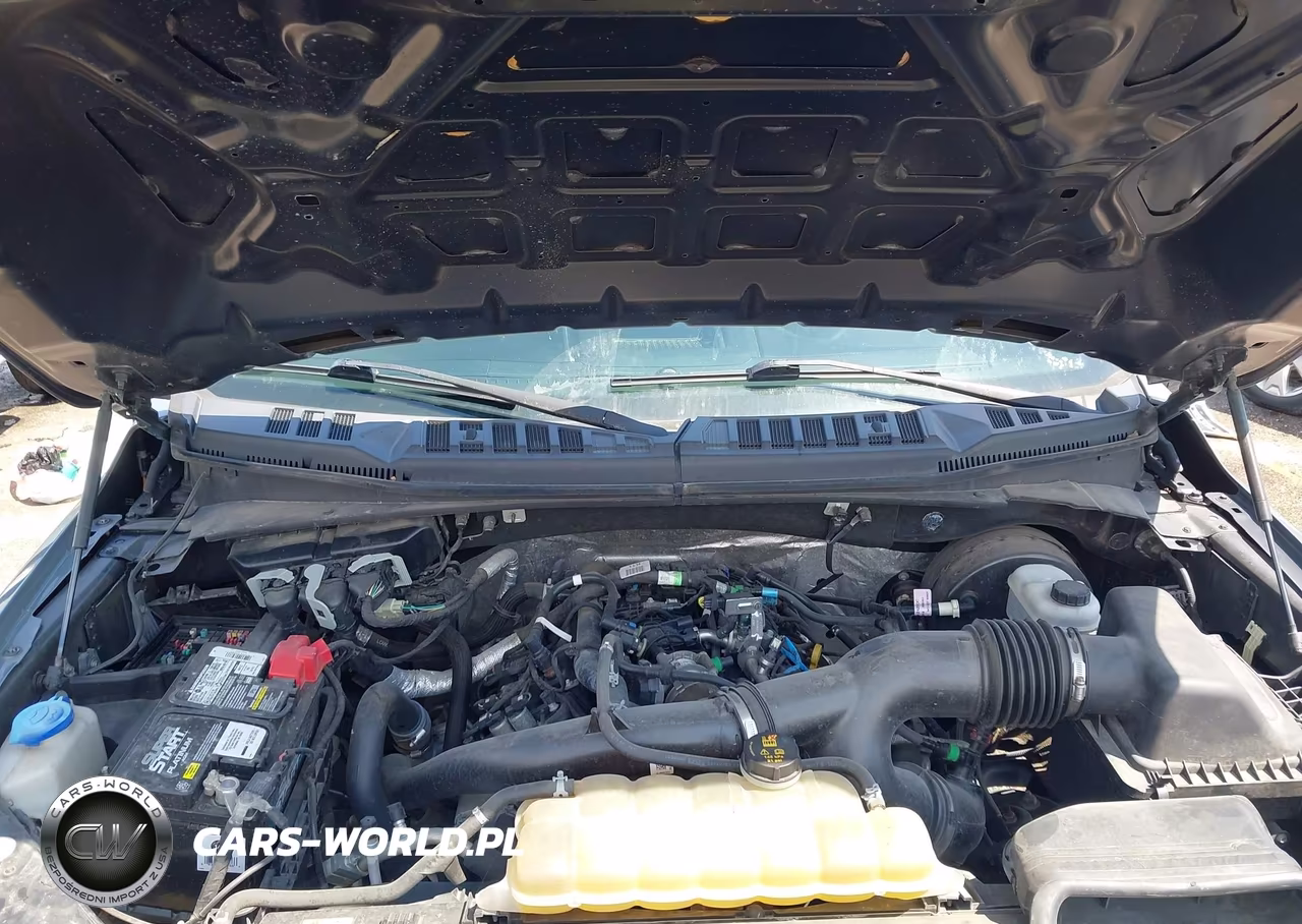 2019 Ford F-150 Xl VIN:1FTEW1CP4KKC76367 - 10