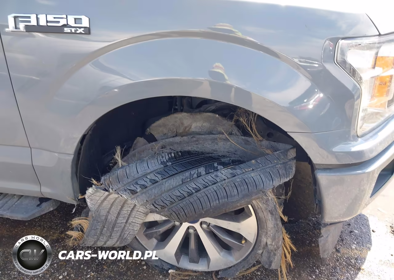 2019 Ford F-150 Xl VIN:1FTEW1CP4KKC76367 - 6