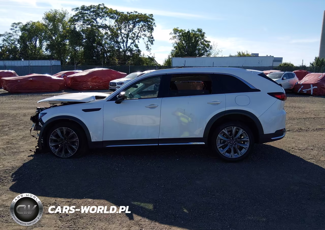 2024 Mazda Cx-90 3.3 Turbo Premium VIN:JM3KKDHD0R1123183 - 14