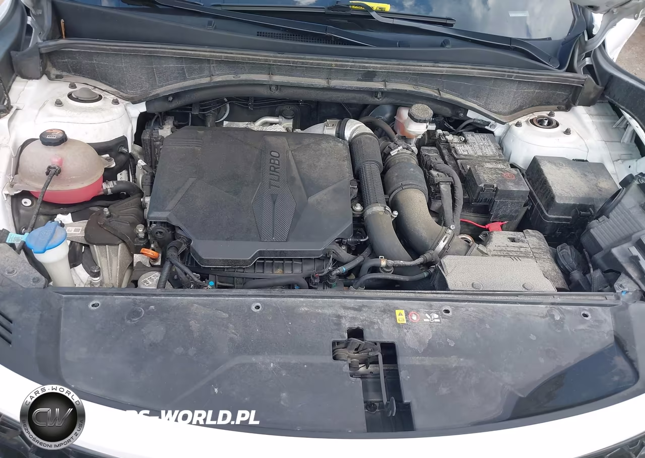 2023 Kia Sorento Sx VIN:5XYRKDLF5PG163823 - 10
