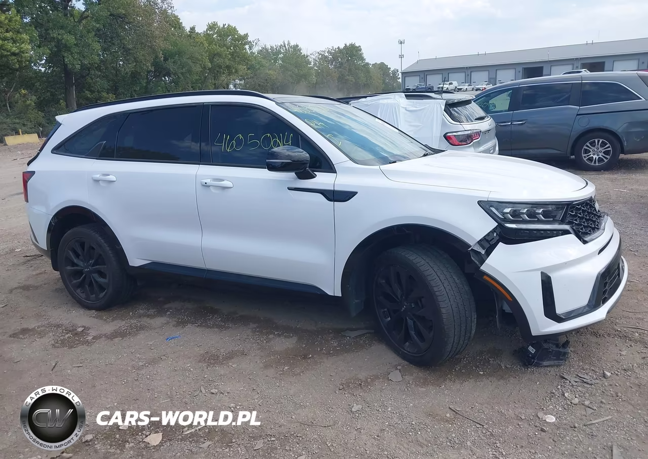 2023 Kia Sorento Sx VIN:5XYRKDLF5PG163823 - 13