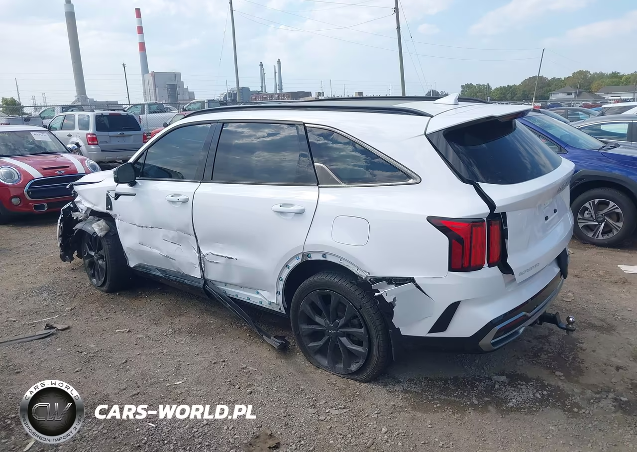 2023 Kia Sorento Sx VIN:5XYRKDLF5PG163823 - 14