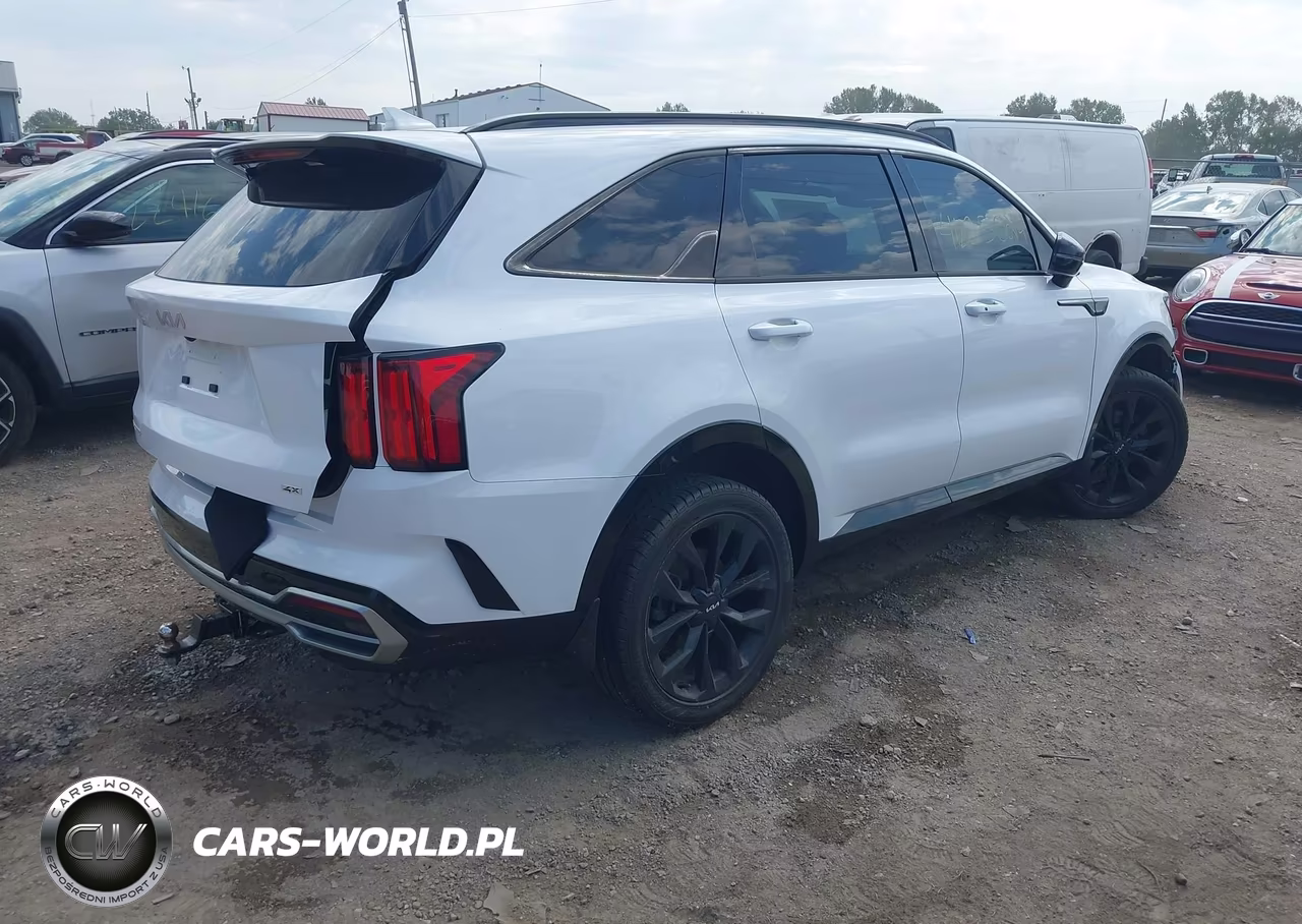 2023 Kia Sorento Sx VIN:5XYRKDLF5PG163823 - 4