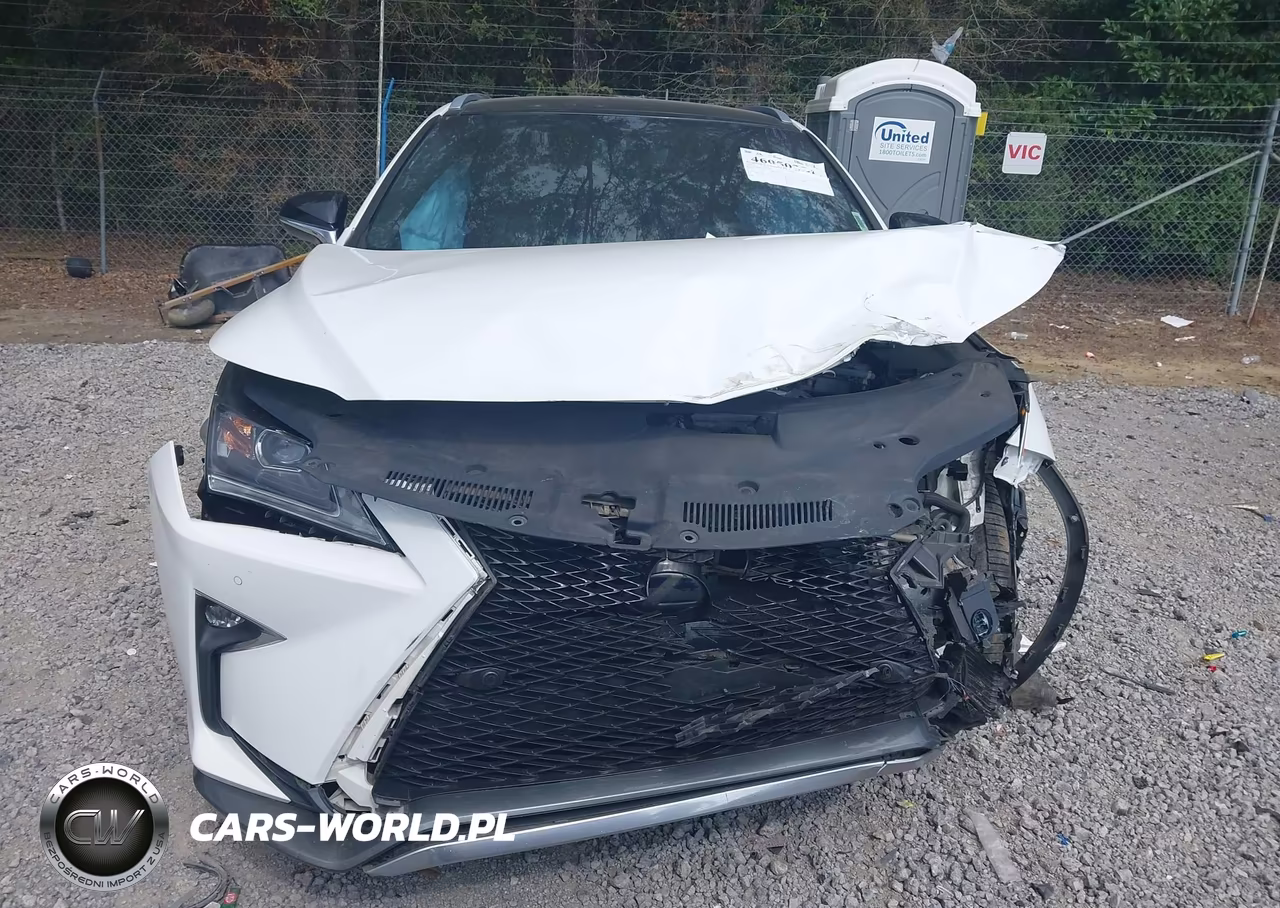 2016 Lexus Rx 450H F Sport VIN:2T2BGMCA7GC002887 - 13