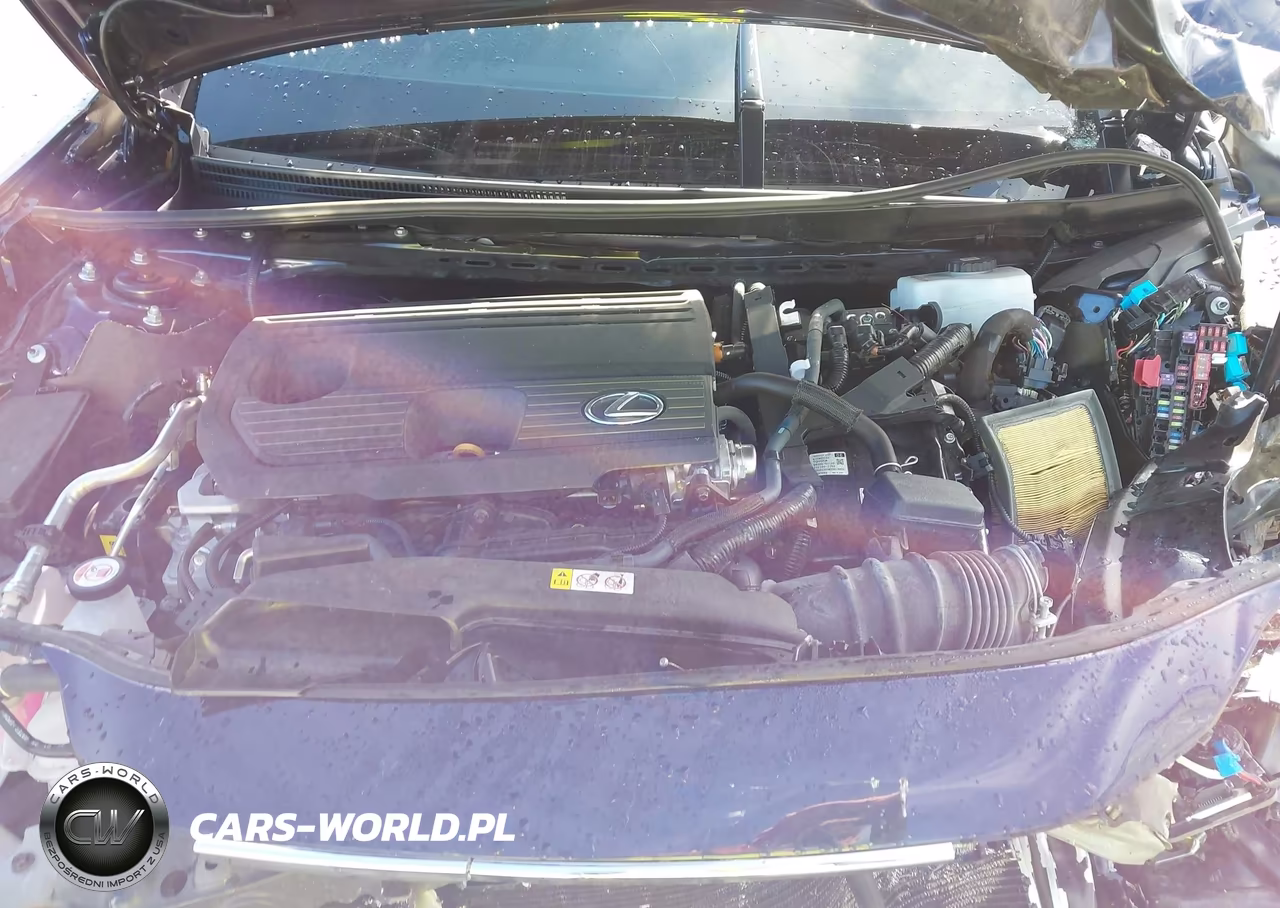 2025 Lexus Es 300H VIN:58ADA1C1XSU072669 - 10