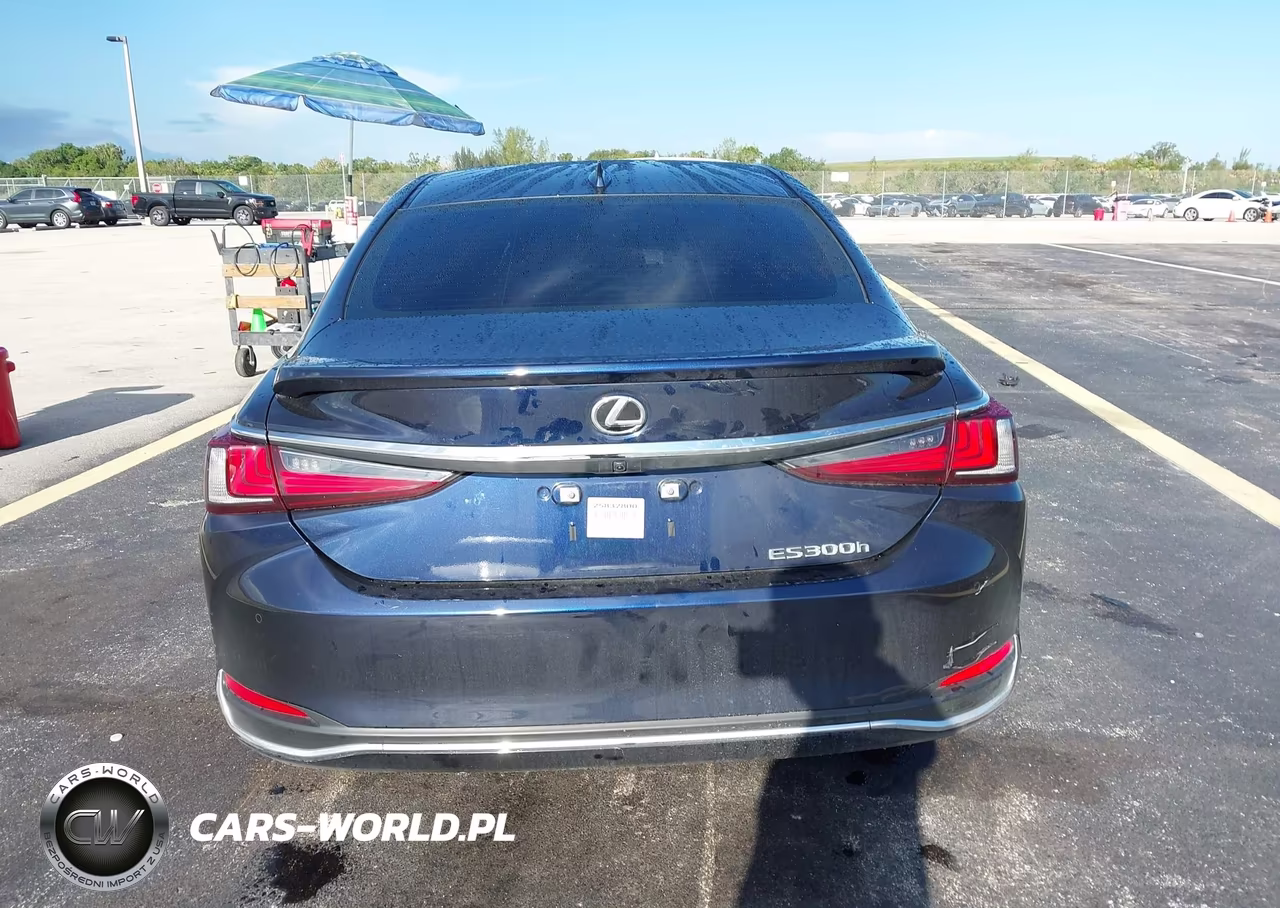 2025 Lexus Es 300H VIN:58ADA1C1XSU072669 - 16