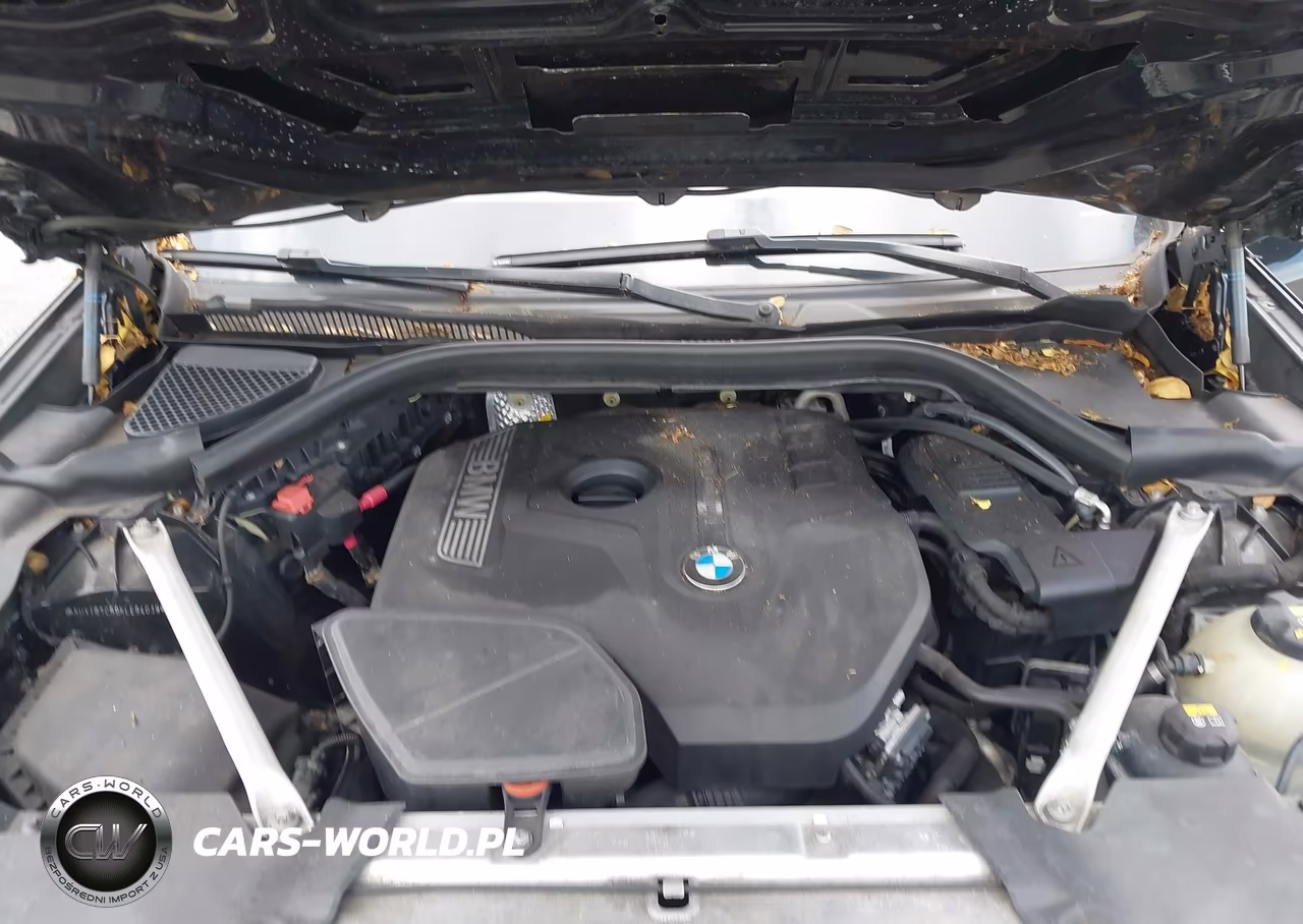 2019 BMW X3 Sdrive30I VIN:5UXTR7C59KLE94039 - 10
