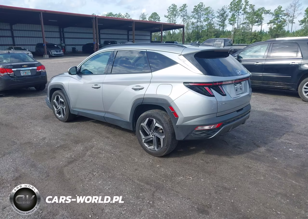 2022 Hyundai Tucson Hybrid Limited VIN:KM8JECA11NU058094 - 3