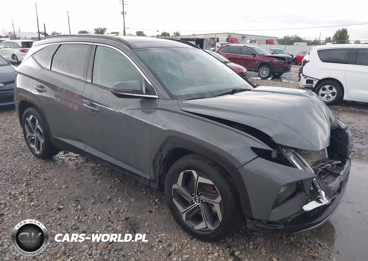 2024 Hyundai Tucson Limited VIN:5NMJE3DE0RH311325 - 1