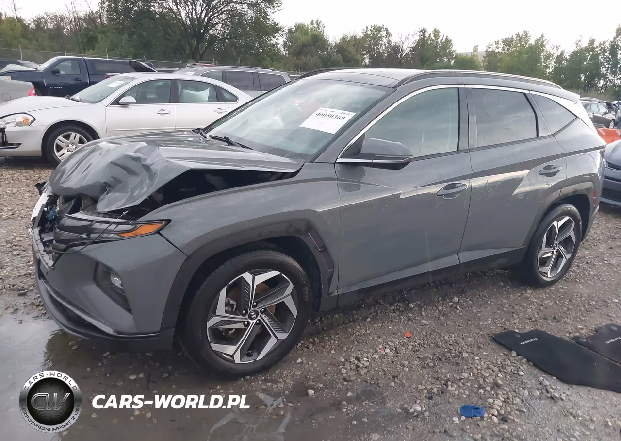 2024 Hyundai Tucson Limited VIN:5NMJE3DE0RH311325 - 2
