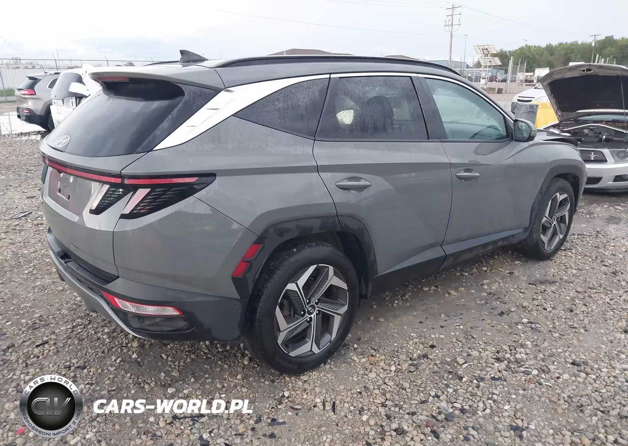 2024 Hyundai Tucson Limited VIN:5NMJE3DE0RH311325 - 4