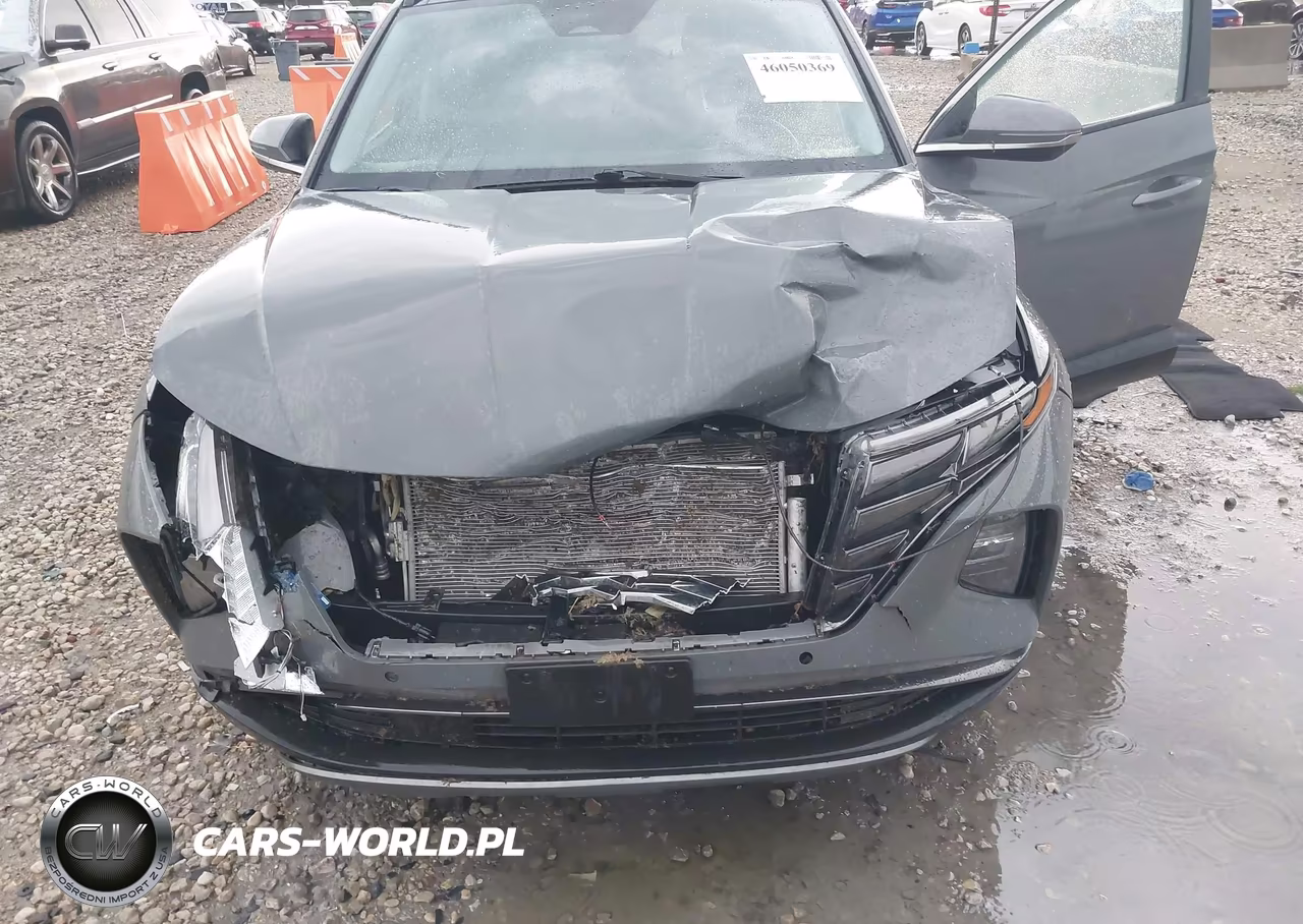 2024 Hyundai Tucson Limited VIN:5NMJE3DE0RH311325 - 6