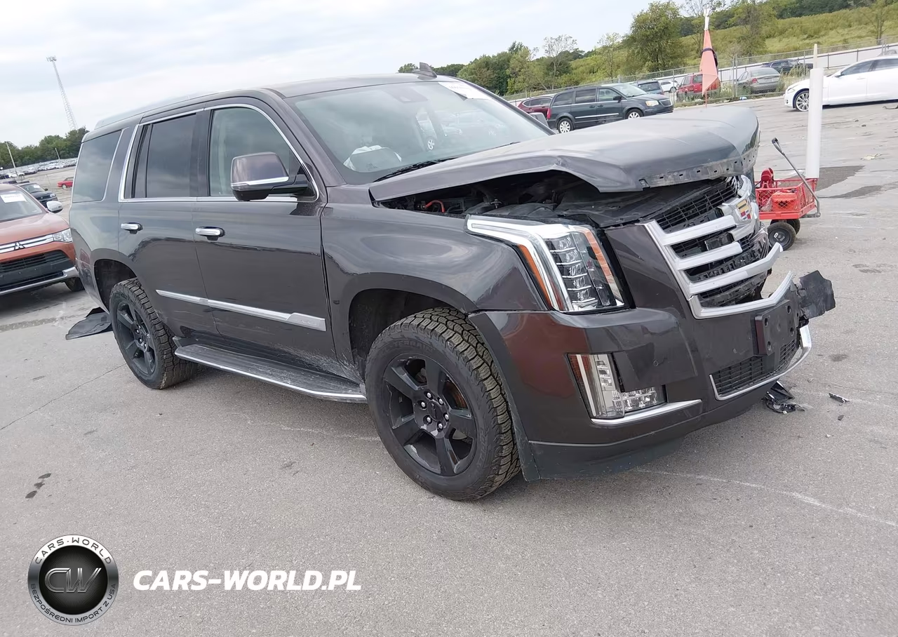 2016 Cadillac Escalade Premium Collection VIN:1GYS4CKJ4GR101160 - 1