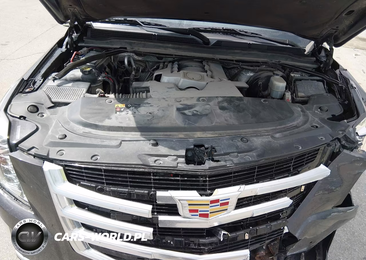 2016 Cadillac Escalade Premium Collection VIN:1GYS4CKJ4GR101160 - 10
