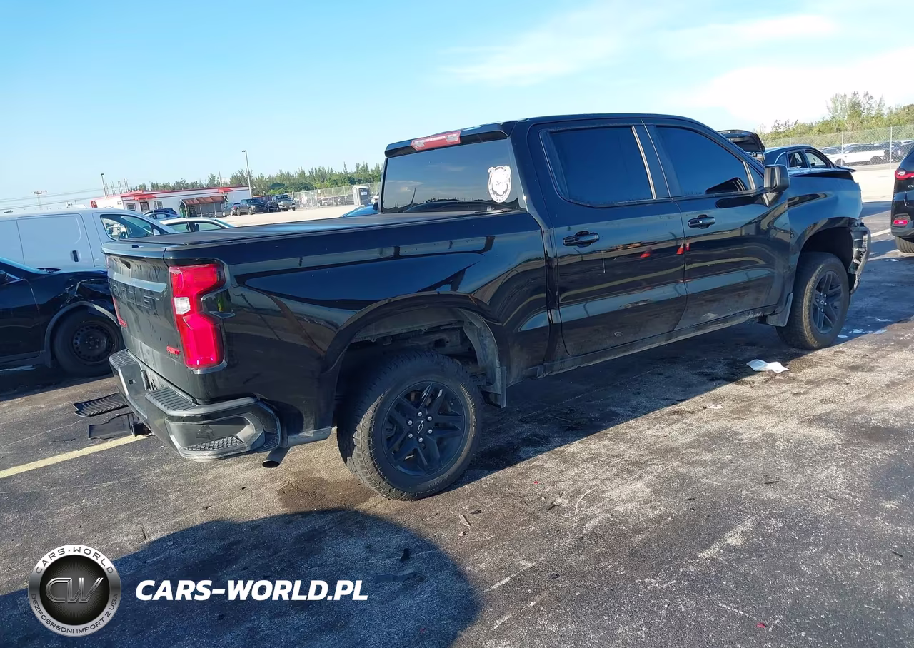 2020 Chevrolet Silverado 1500 2Wd Short Bed Rst VIN:3GCPWDED8LG362836 - 4
