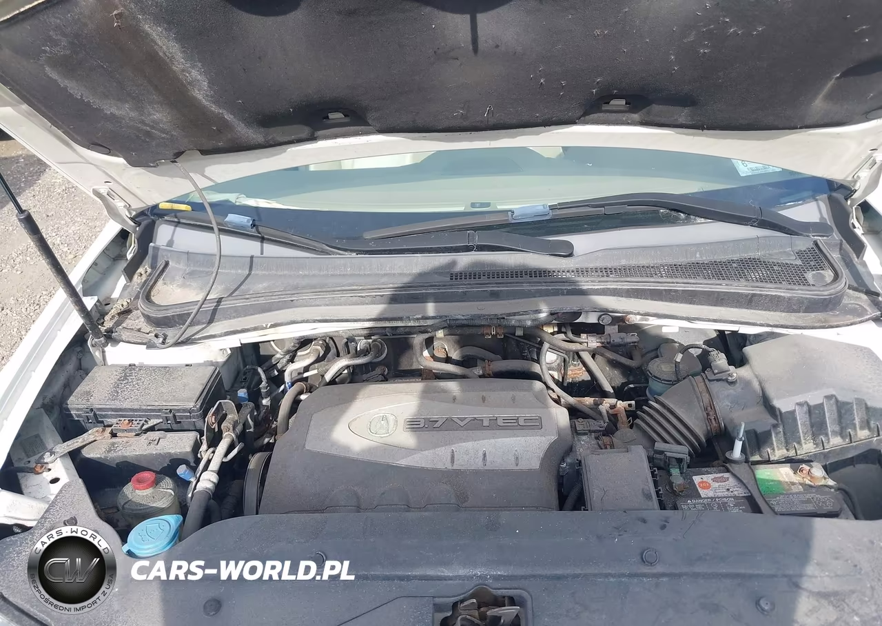 2009 Acura Mdx VIN:2HNYD28249H531195 - 10