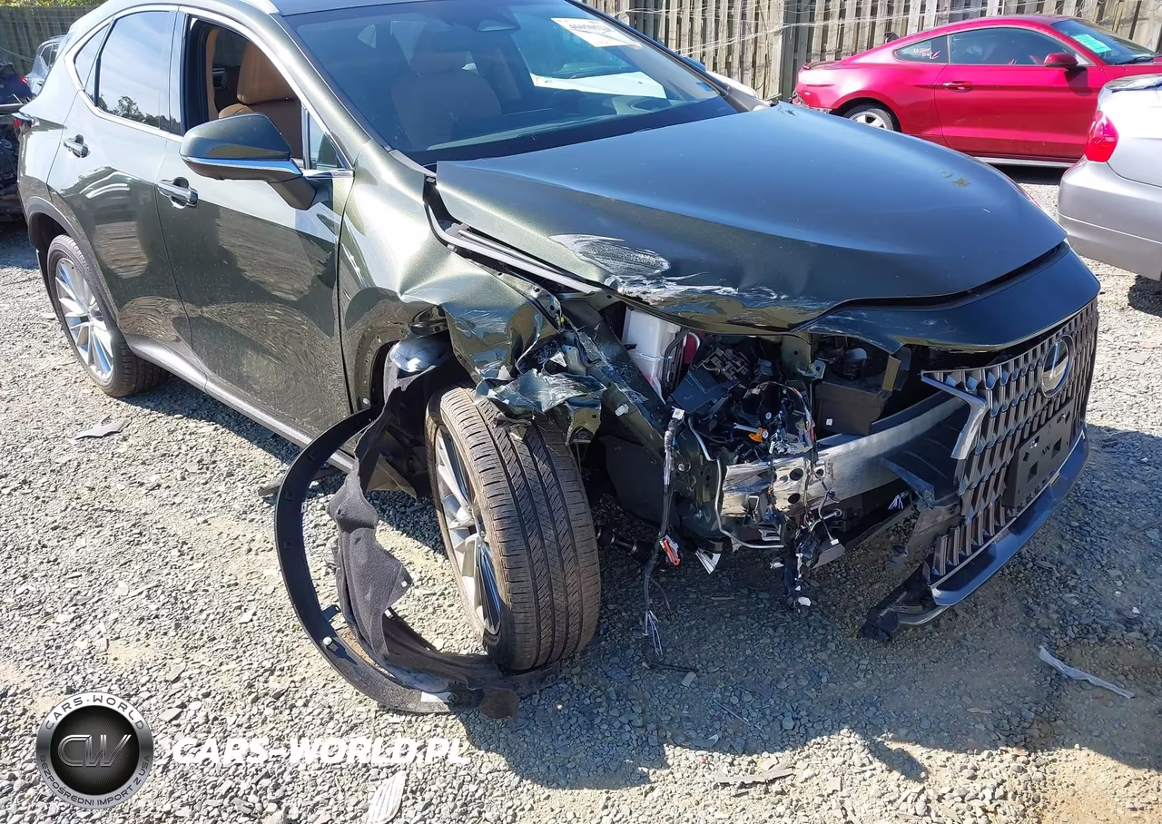 2024 Lexus Nx 350 Luxury VIN:2T2HGCEZ4RC035632 - 12