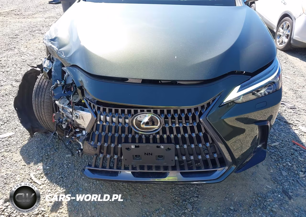 2024 Lexus Nx 350 Luxury VIN:2T2HGCEZ4RC035632 - 13
