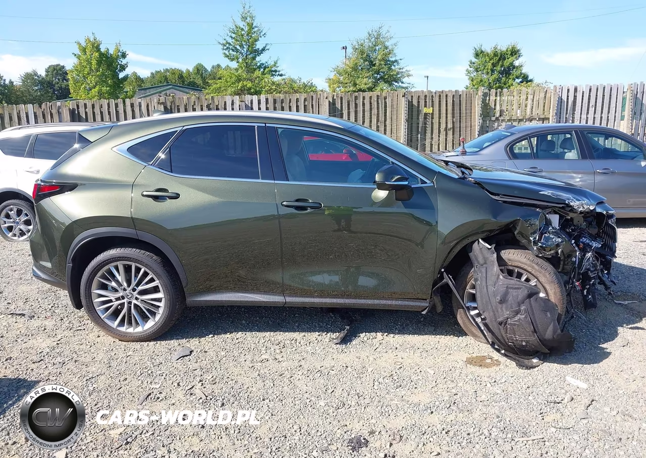 2024 Lexus Nx 350 Luxury VIN:2T2HGCEZ4RC035632 - 14