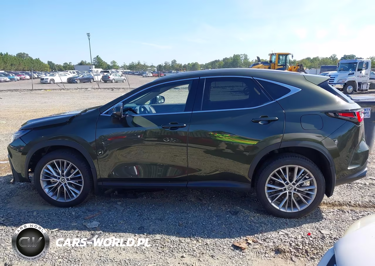2024 Lexus Nx 350 Luxury VIN:2T2HGCEZ4RC035632 - 15