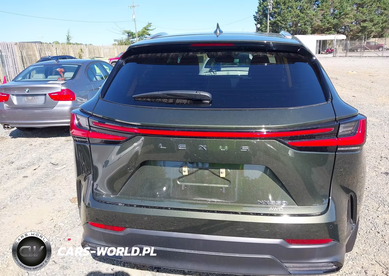 2024 Lexus Nx 350 Luxury VIN:2T2HGCEZ4RC035632 - 17